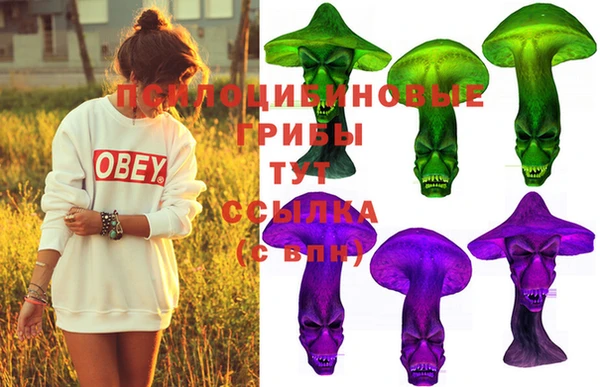 таблы Каменка