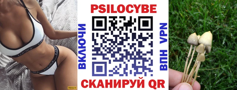 Псилоцибиновые грибы Cubensis  где купить наркоту  blacksprut зеркало  Оса 